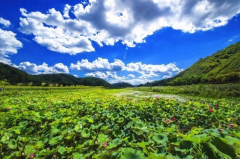 <b>陕西延安南泥湾成为陕北地区首个国家级湿地公园</b>